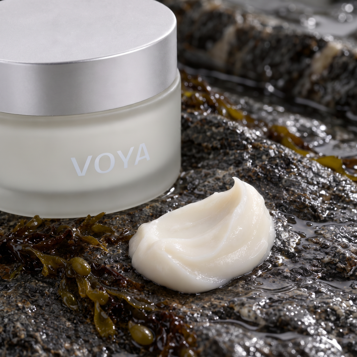 VOYA Dream Crème – økologisk nattkrem avbildet-på-sten-med-alger-viser-produkt