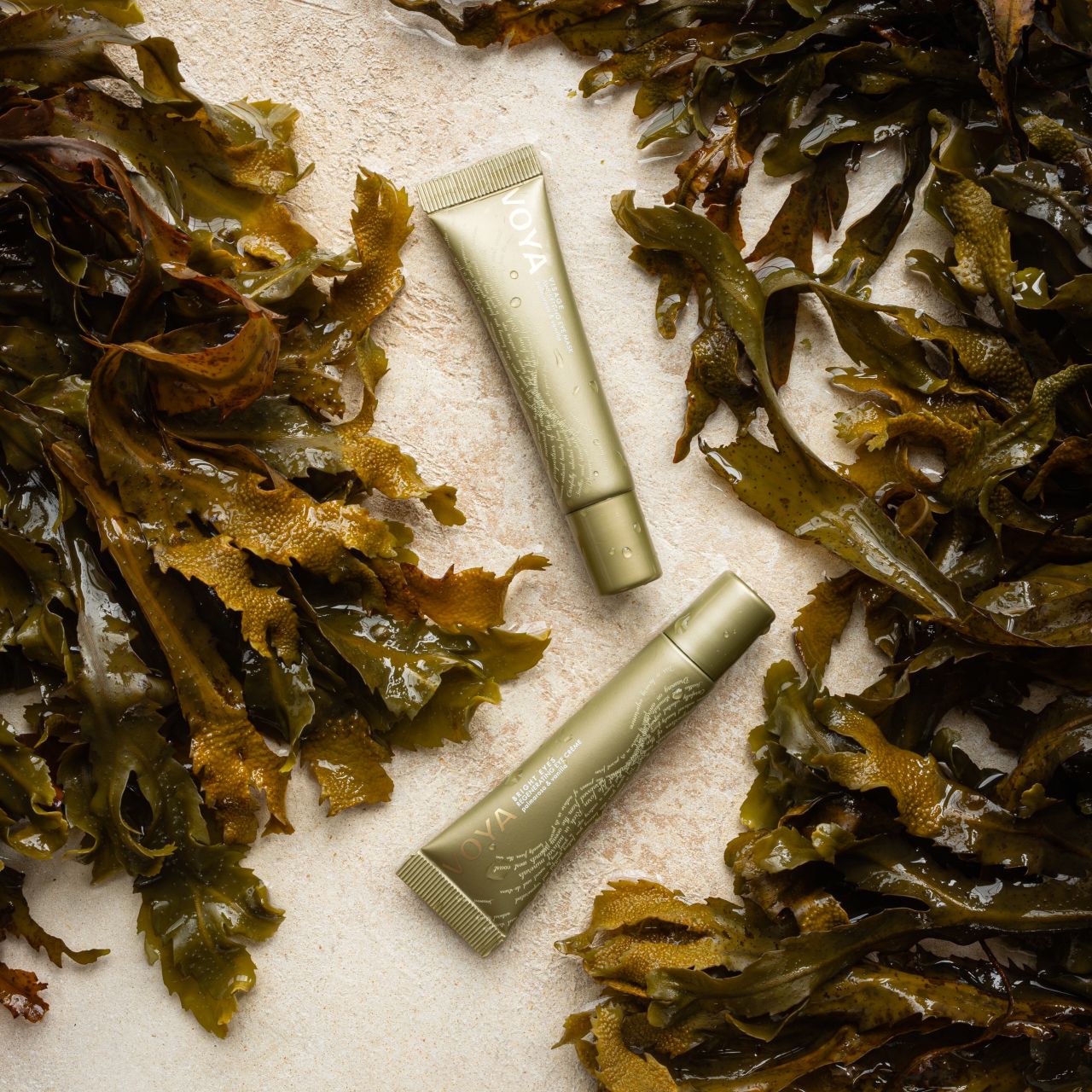 o produkter fra VOYA: Bright Eyes og Visage. Komplett øyebehandling med alger og botaniske ingredienser – dag og natt.
