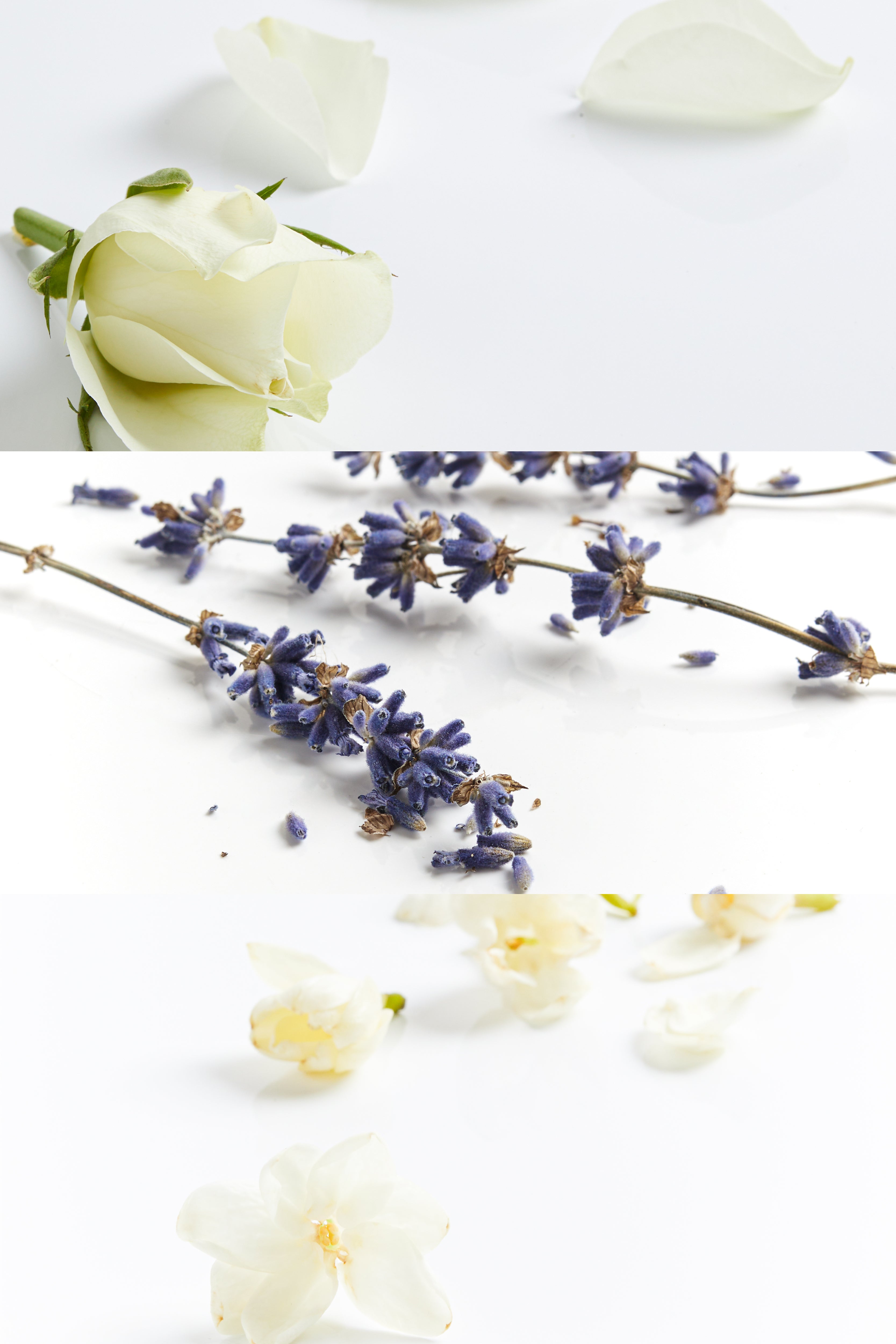 voya_duftlys-lavendel og rose-kamille- ingredienser